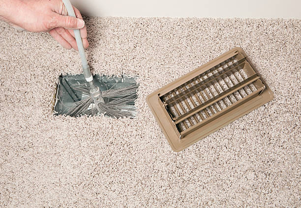 Best Air Duct Mold Removal  in Williston, ND